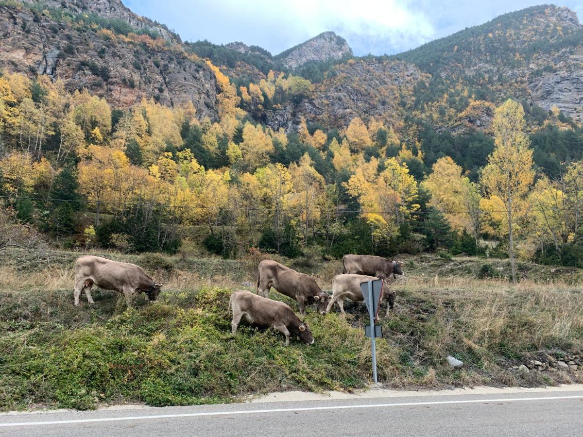 Chalet En El Pirineo De Aragon Neril Eksteriør bilde